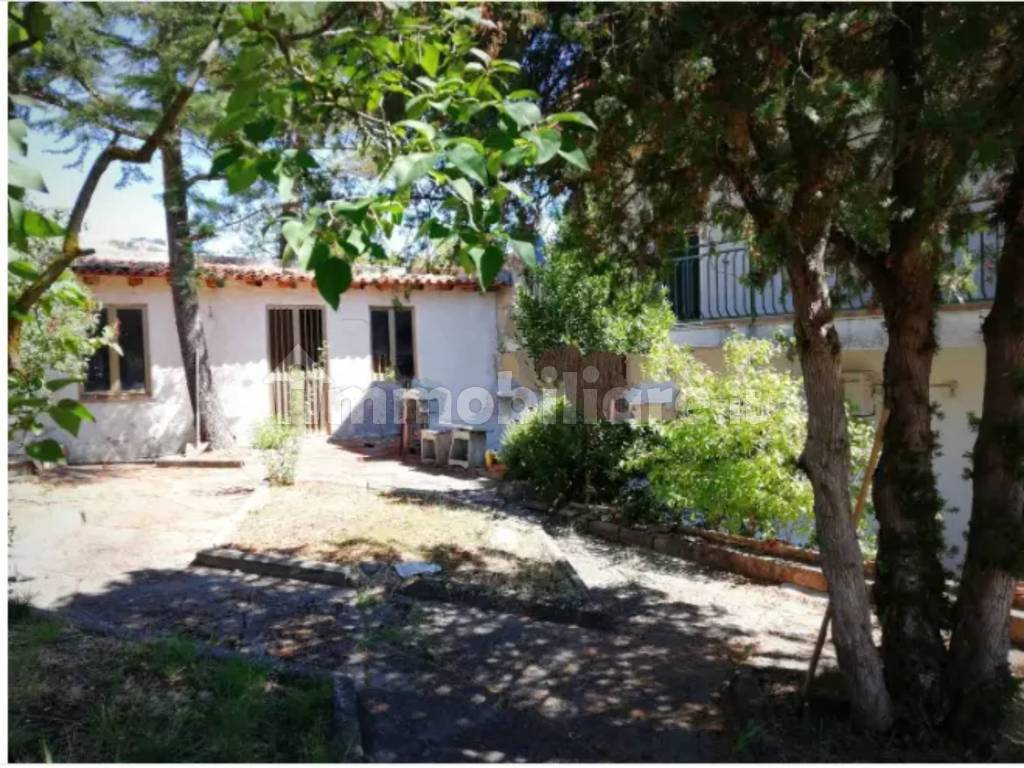 Giardino