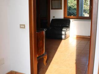 Ingresso