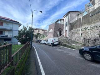 Zona