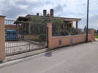 Zona