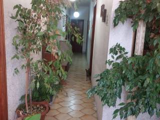 Ingresso