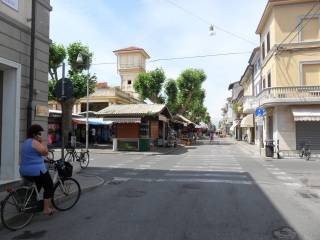 Zona