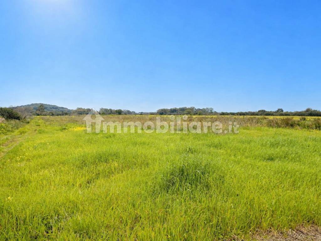 Terreno