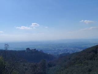 Vista