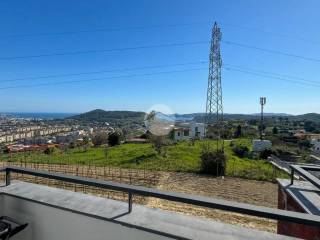 Vista
