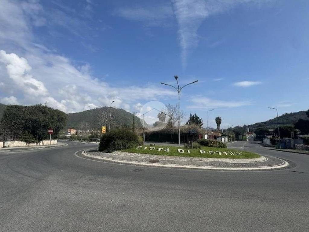 Zona