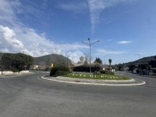 Zona