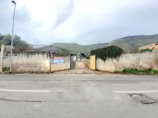 Zona