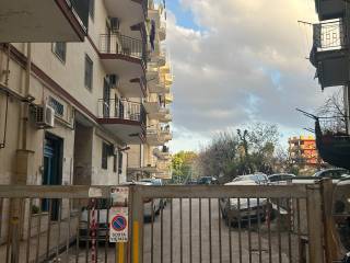 Zona