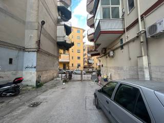 Zona