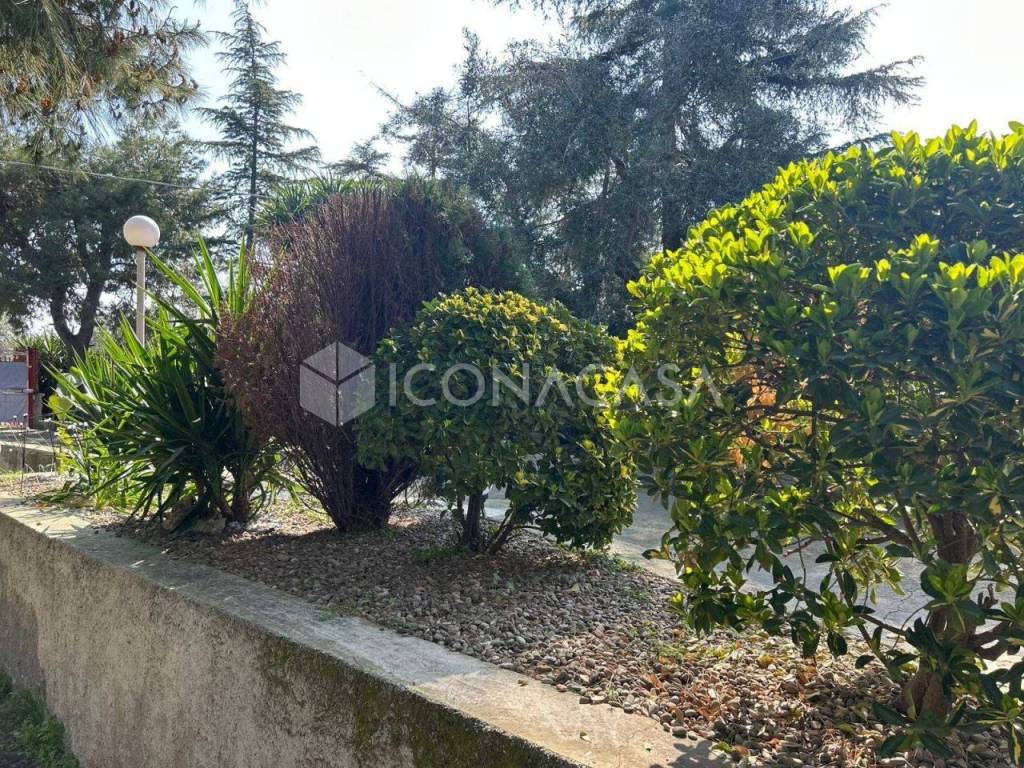 Giardino