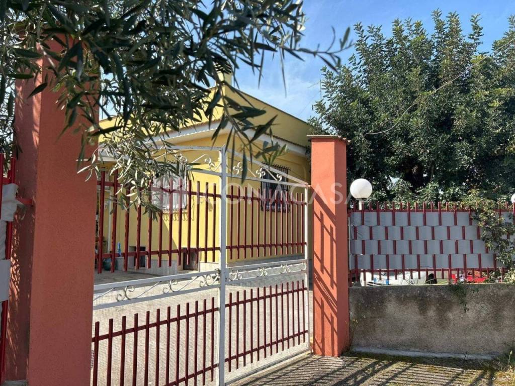 Ingresso