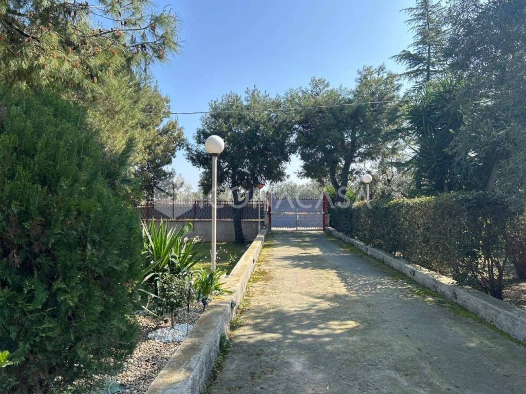 Giardino