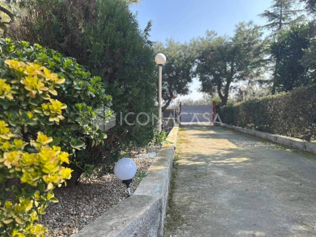 Giardino