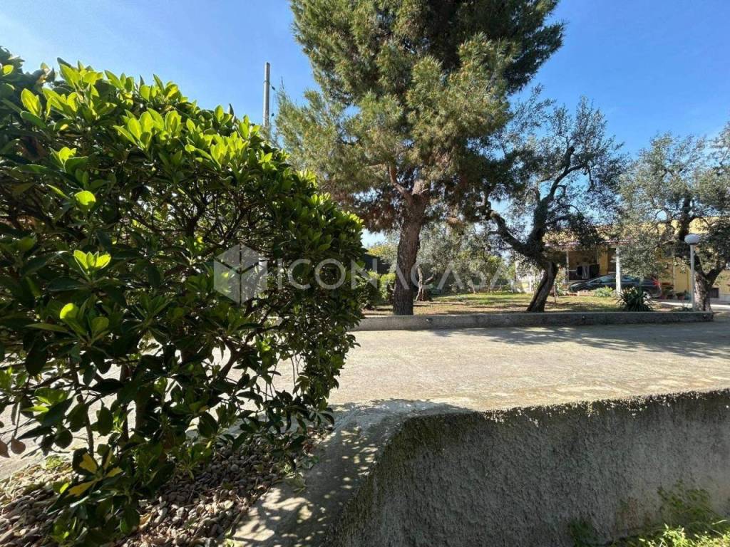 Giardino