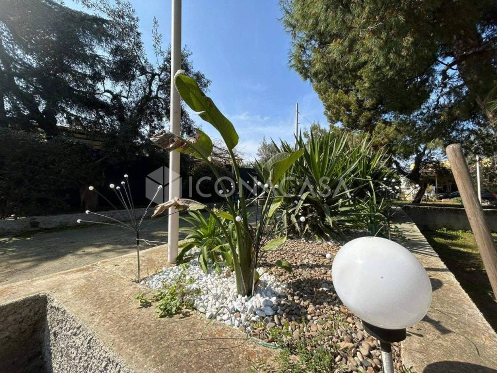 Giardino