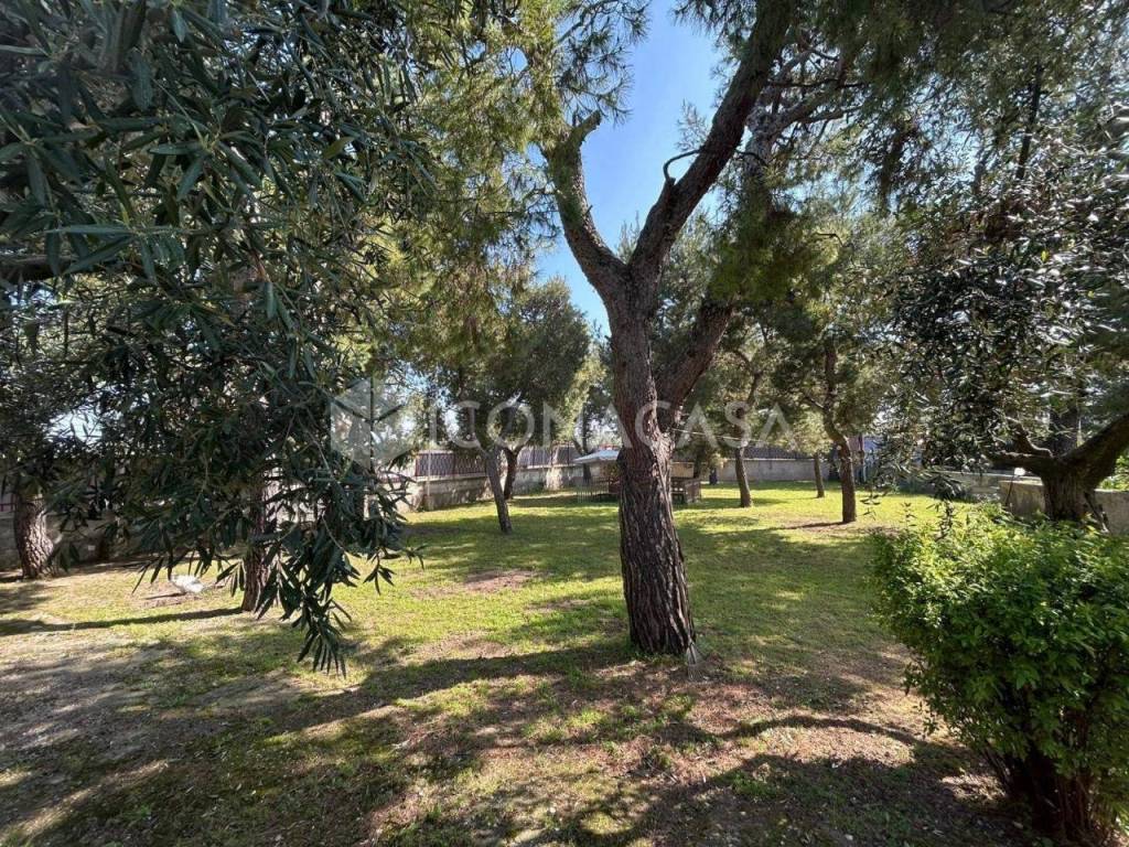 Giardino