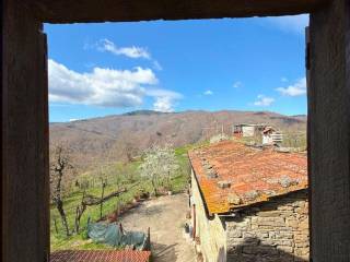 Vista