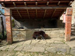 Zona