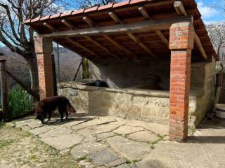 Zona