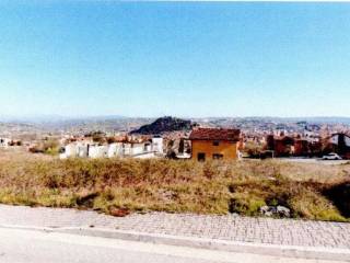 Zona
