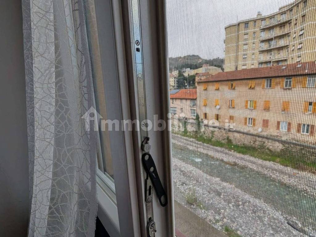 Vista