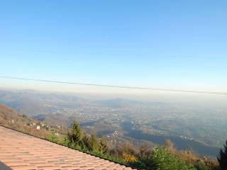 Vista