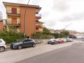 Zona