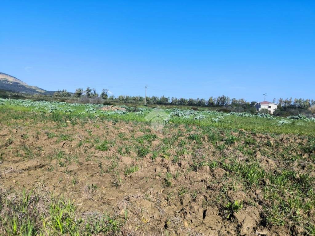 Terreno