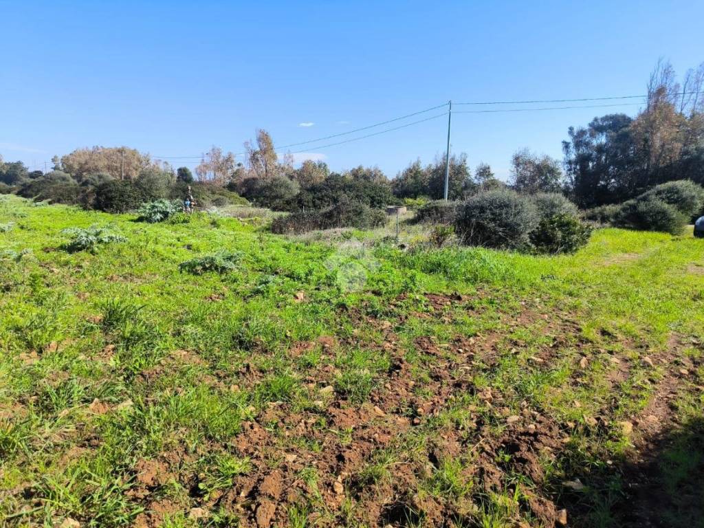 Terreno