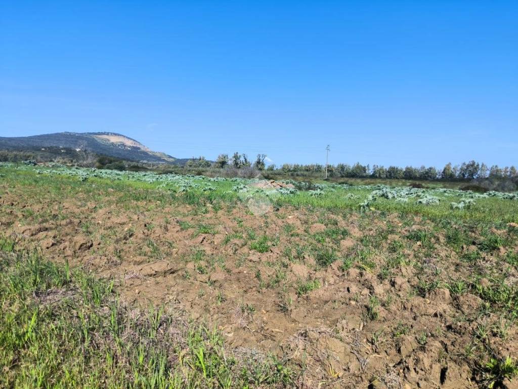 Terreno