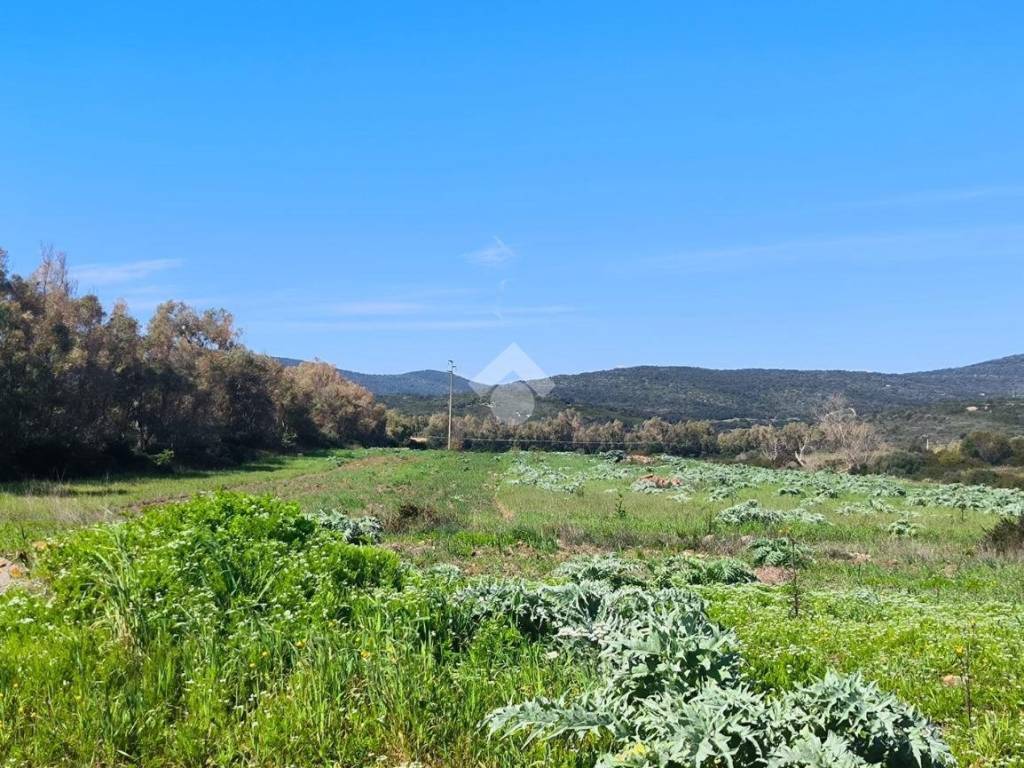 Terreno