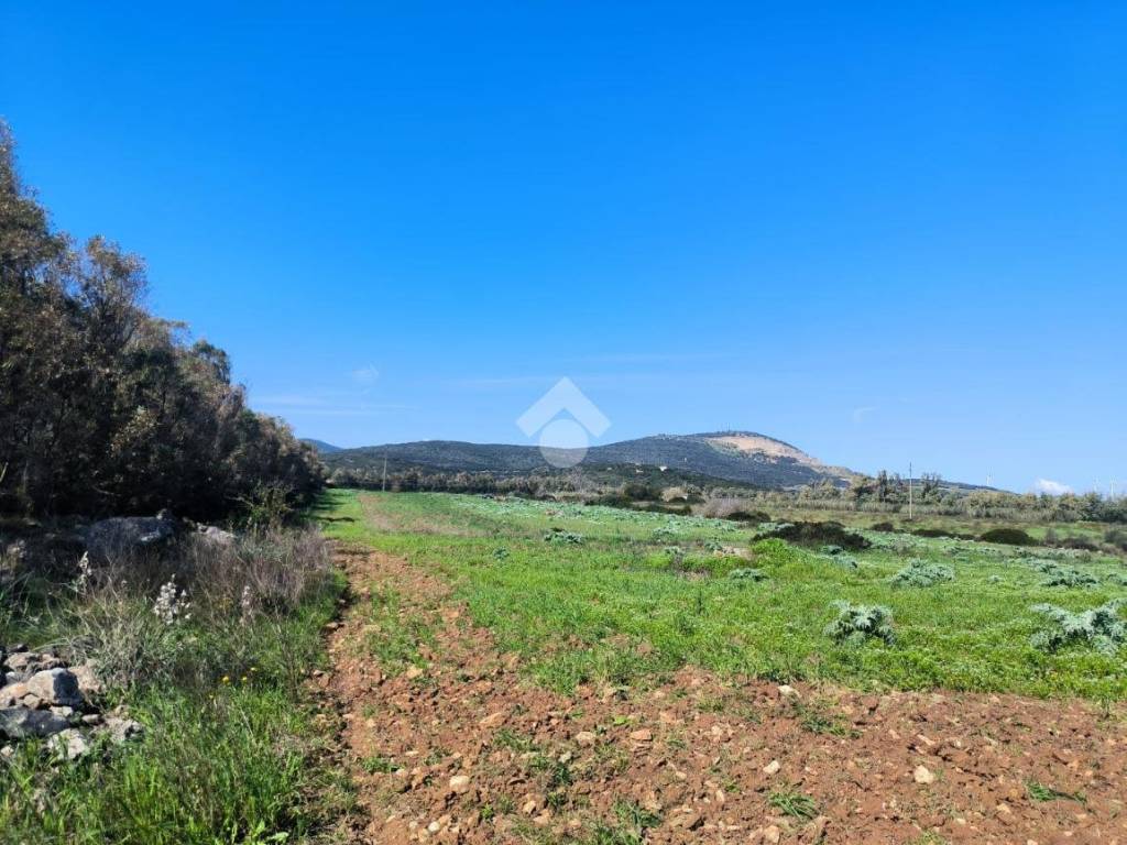 Terreno