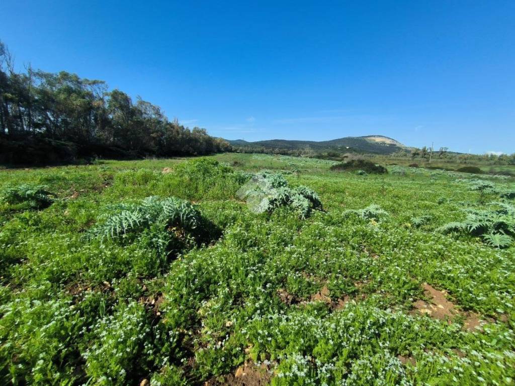 Terreno