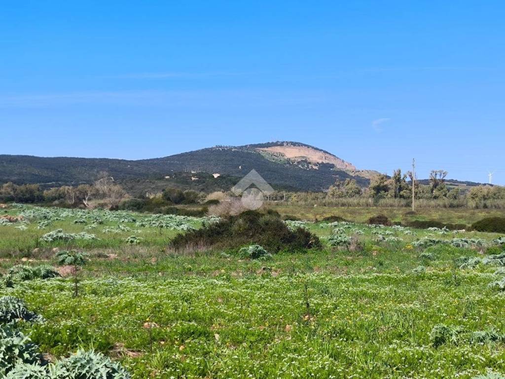 Terreno