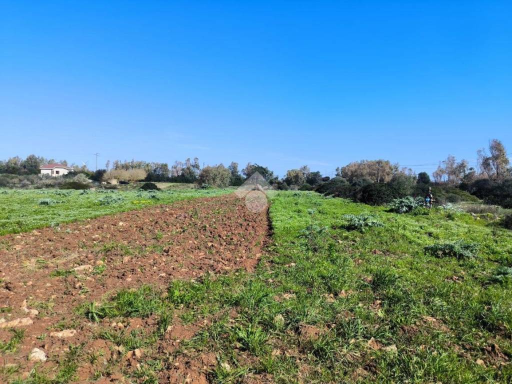 Terreno