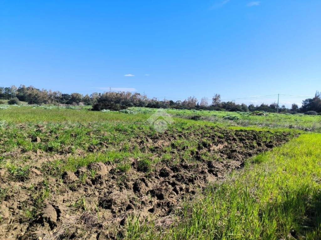 Terreno