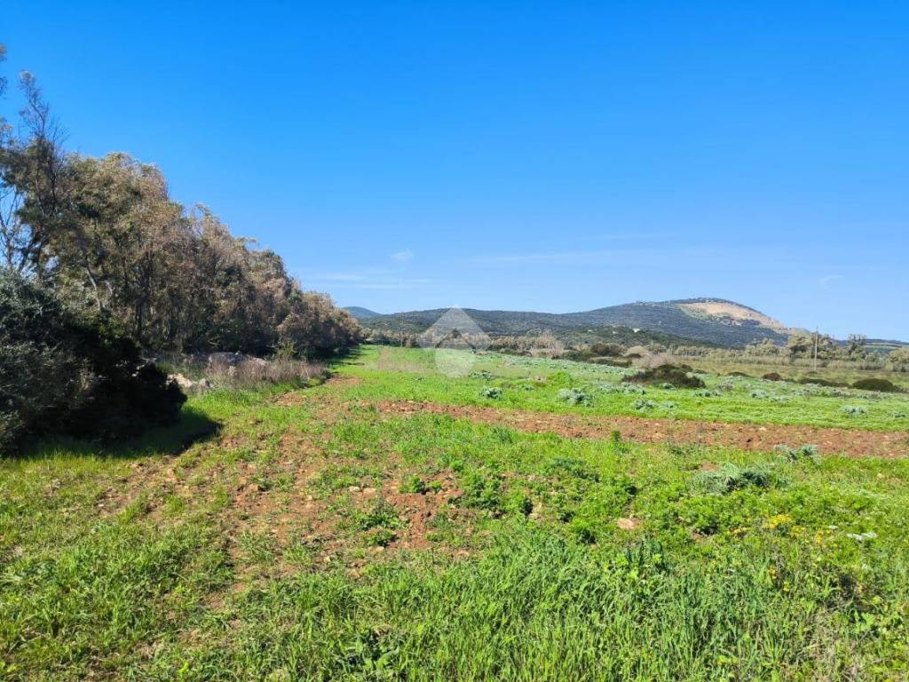 Terreno
