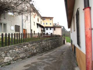 Zona