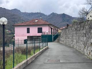 Zona