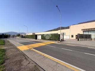 Zona