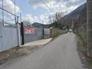 Zona