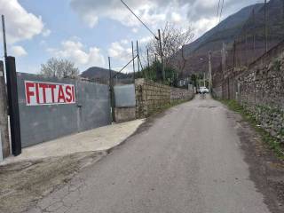 Zona