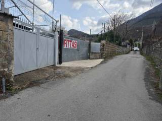 Zona