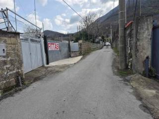 Zona