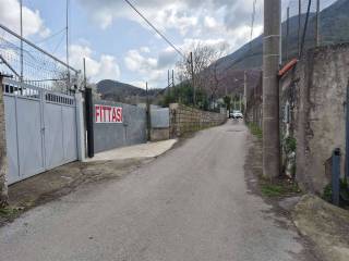 Zona