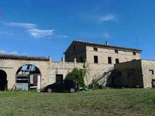Zona