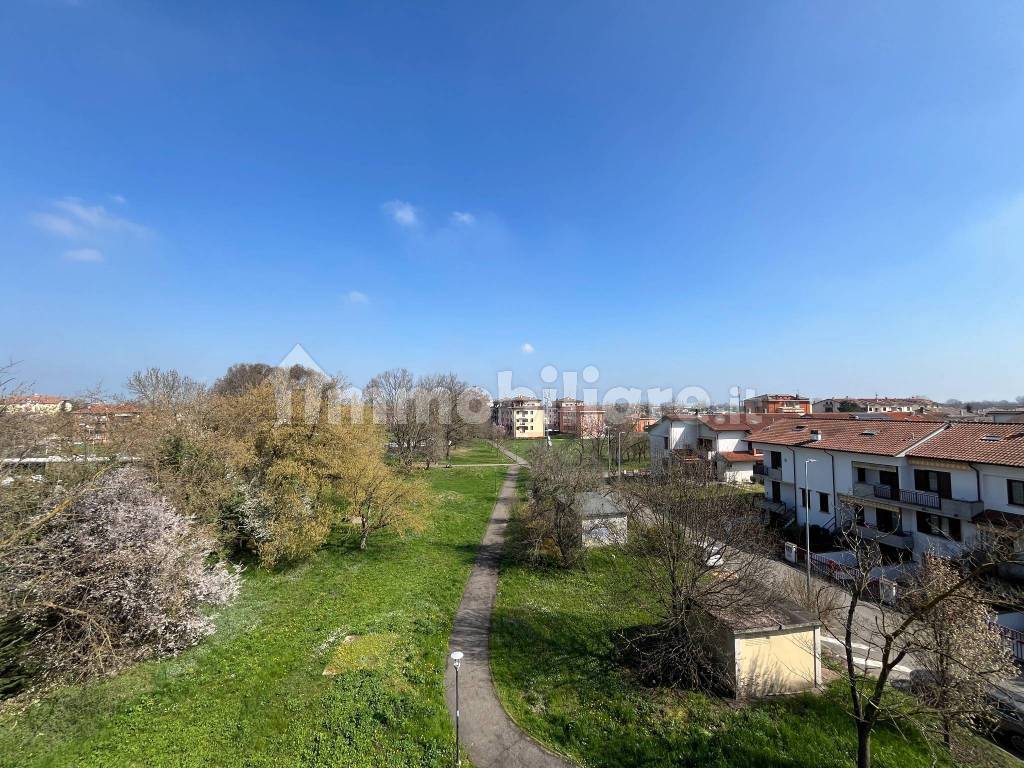 Vista