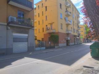 Zona