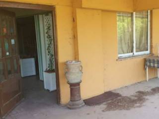Zona